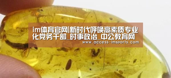 im体育投注